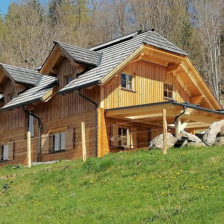 Willa Laerchenhaus ,,Unterer Brodl" Sankt Peter am Kammersberg Zewnętrze zdjęcie
