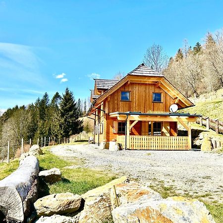 Willa Laerchenhaus ,,Unterer Brodl" Sankt Peter am Kammersberg Zewnętrze zdjęcie