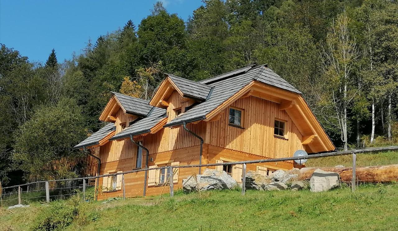 Willa Laerchenhaus ,,Unterer Brodl" Sankt Peter am Kammersberg Zewnętrze zdjęcie
