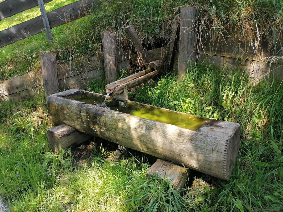 Willa Laerchenhaus ,,Unterer Brodl" Sankt Peter am Kammersberg Zewnętrze zdjęcie