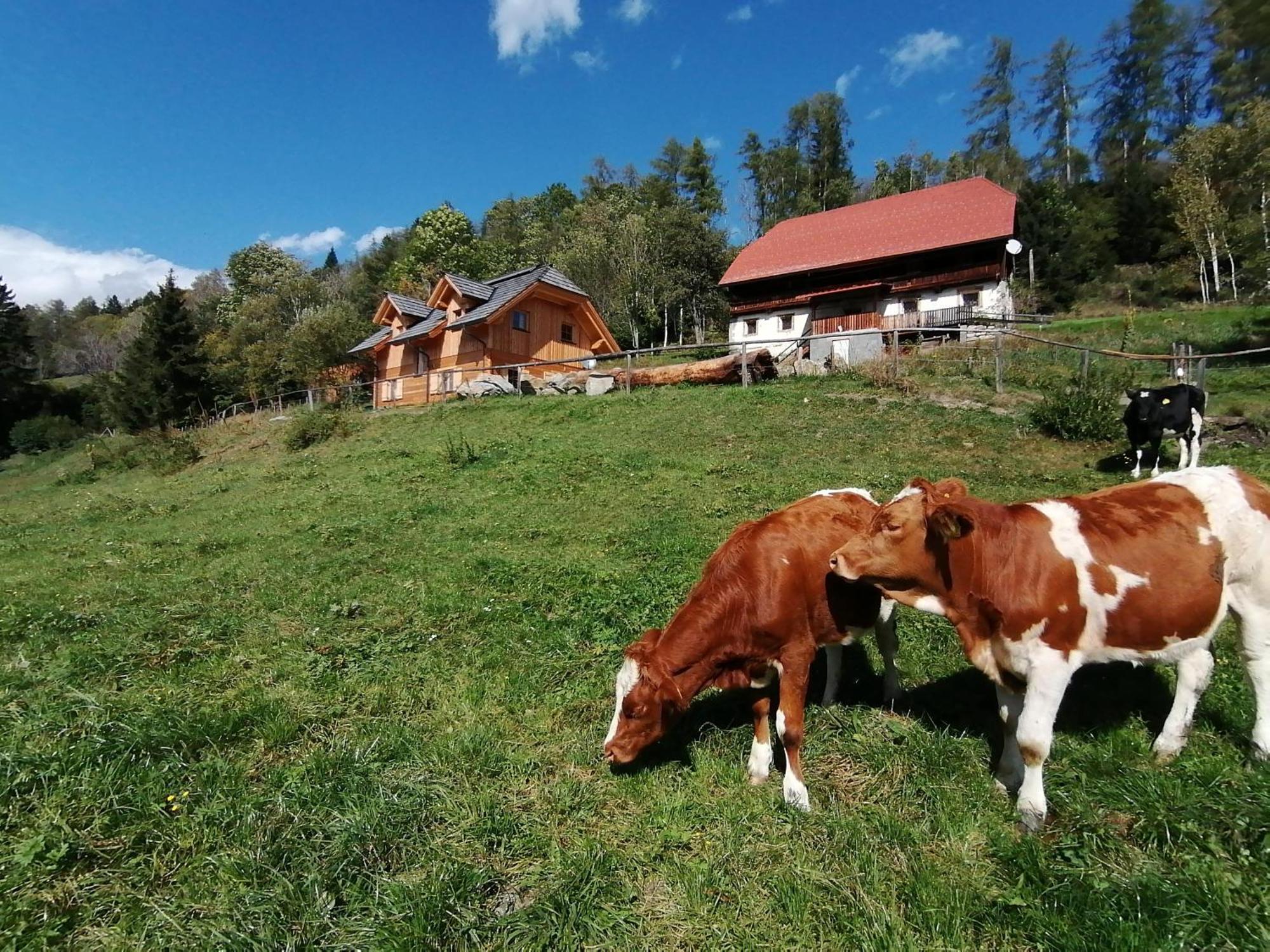Willa Laerchenhaus ,,Unterer Brodl" Sankt Peter am Kammersberg Zewnętrze zdjęcie