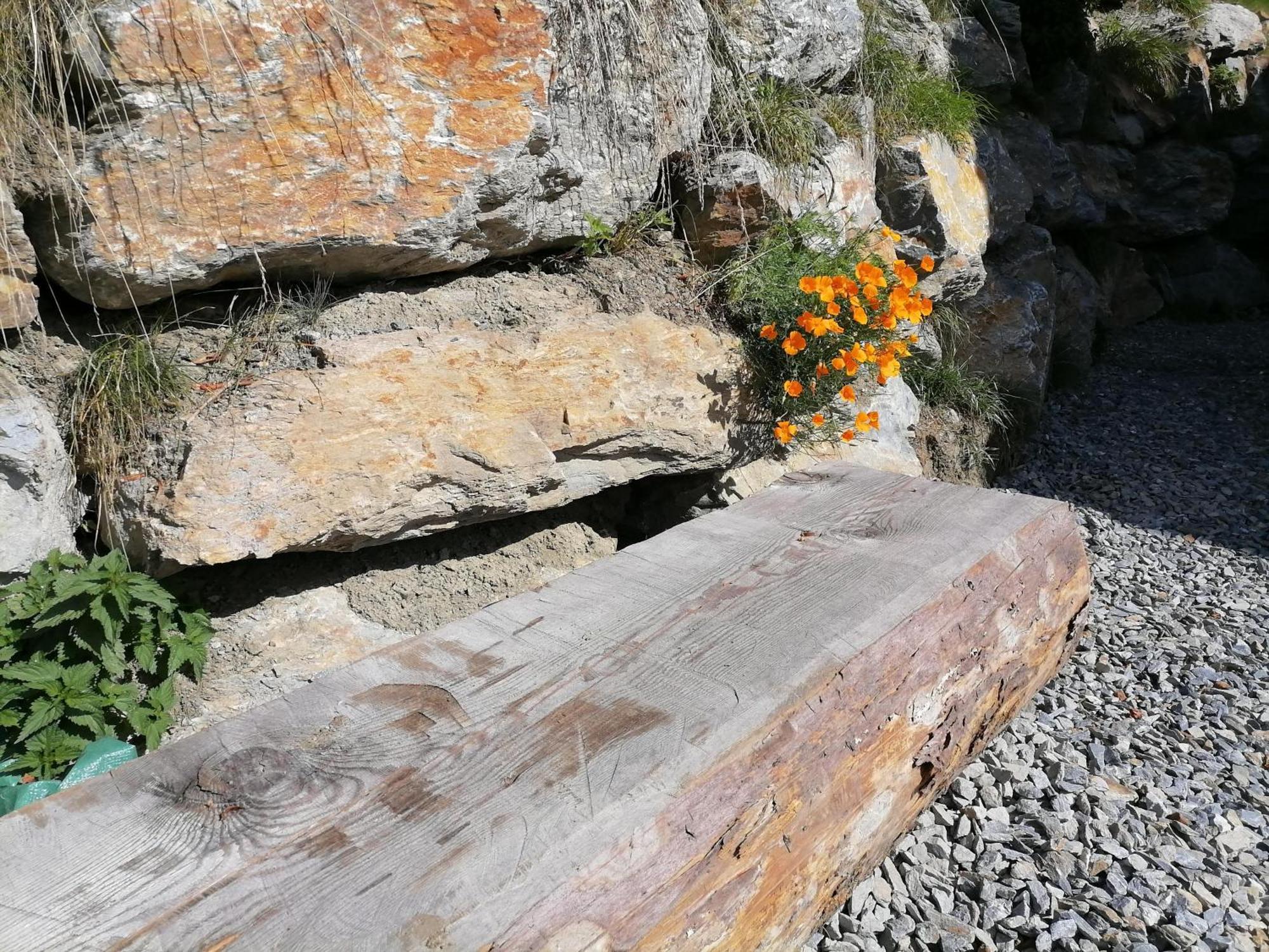 Willa Laerchenhaus ,,Unterer Brodl" Sankt Peter am Kammersberg Zewnętrze zdjęcie