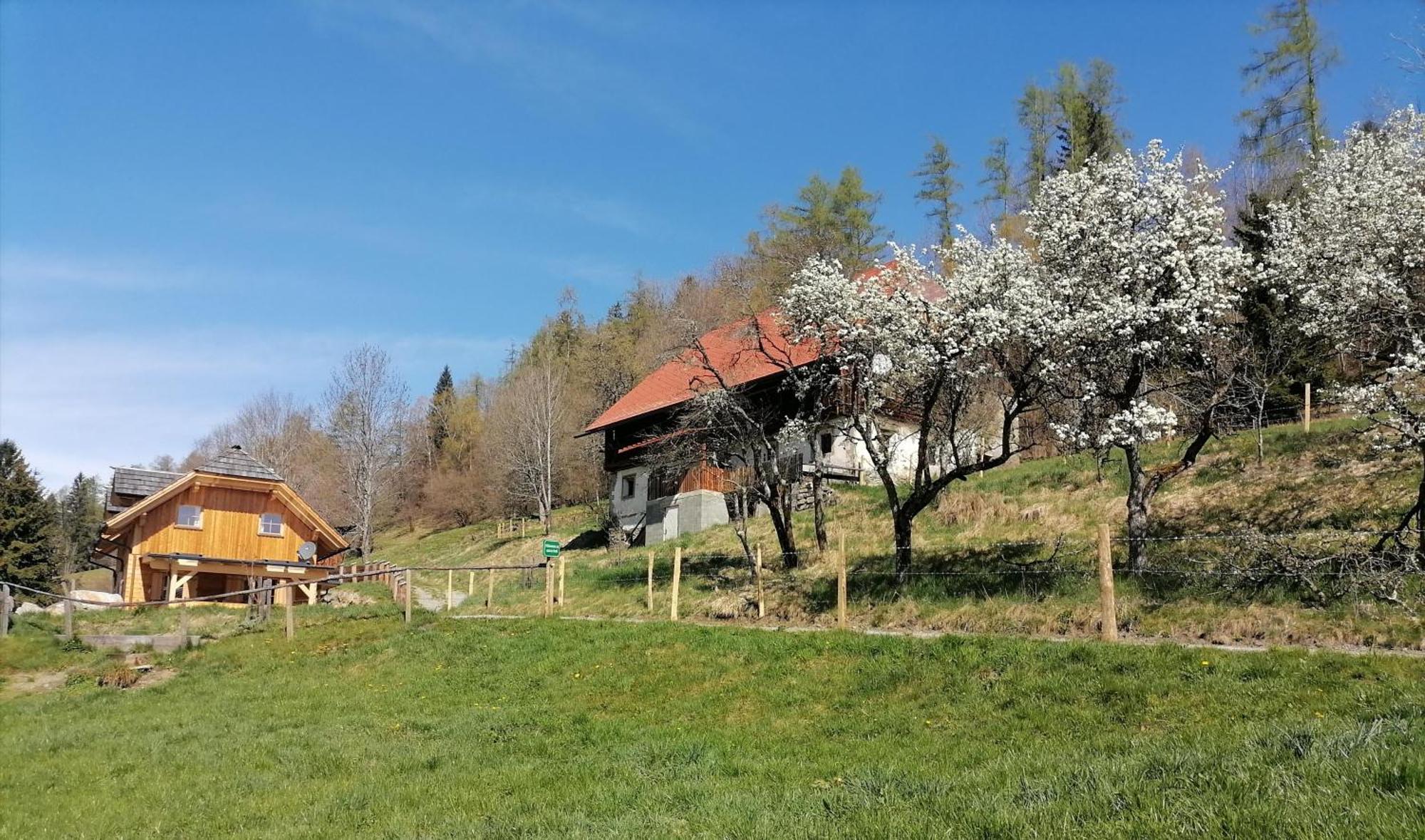 Willa Laerchenhaus ,,Unterer Brodl" Sankt Peter am Kammersberg Zewnętrze zdjęcie