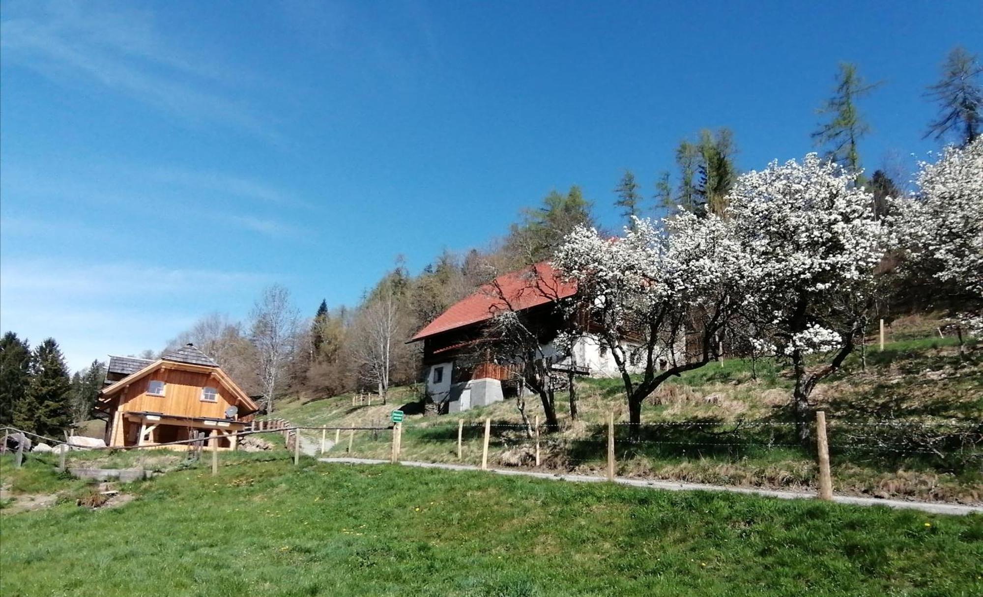 Willa Laerchenhaus ,,Unterer Brodl" Sankt Peter am Kammersberg Zewnętrze zdjęcie