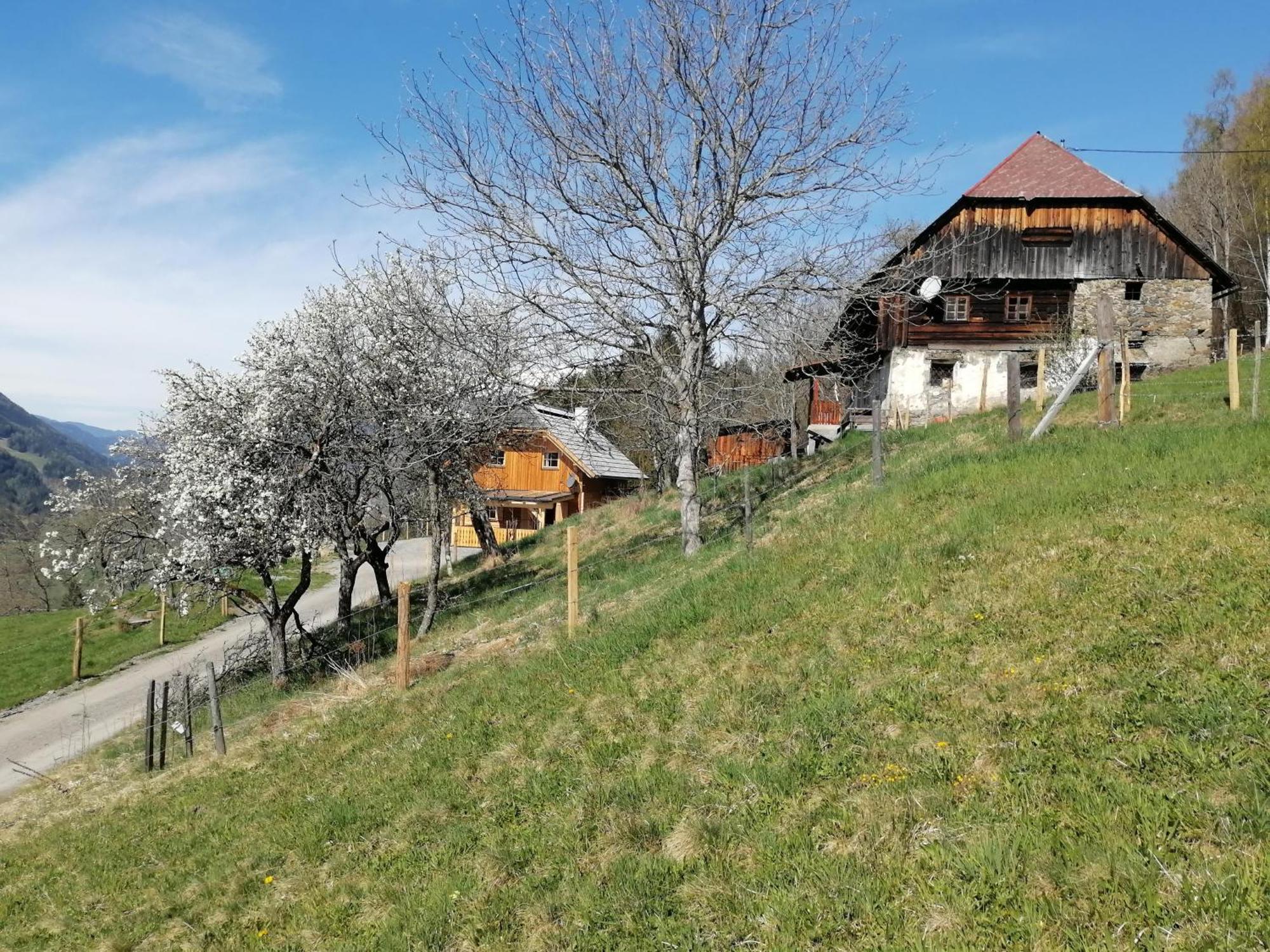 Willa Laerchenhaus ,,Unterer Brodl" Sankt Peter am Kammersberg Zewnętrze zdjęcie