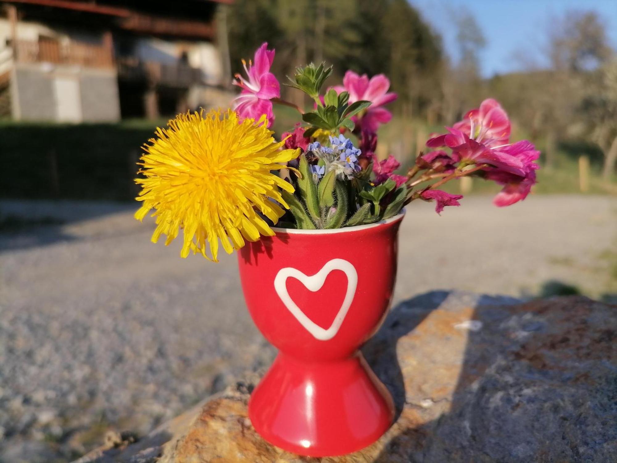 Willa Laerchenhaus ,,Unterer Brodl" Sankt Peter am Kammersberg Zewnętrze zdjęcie
