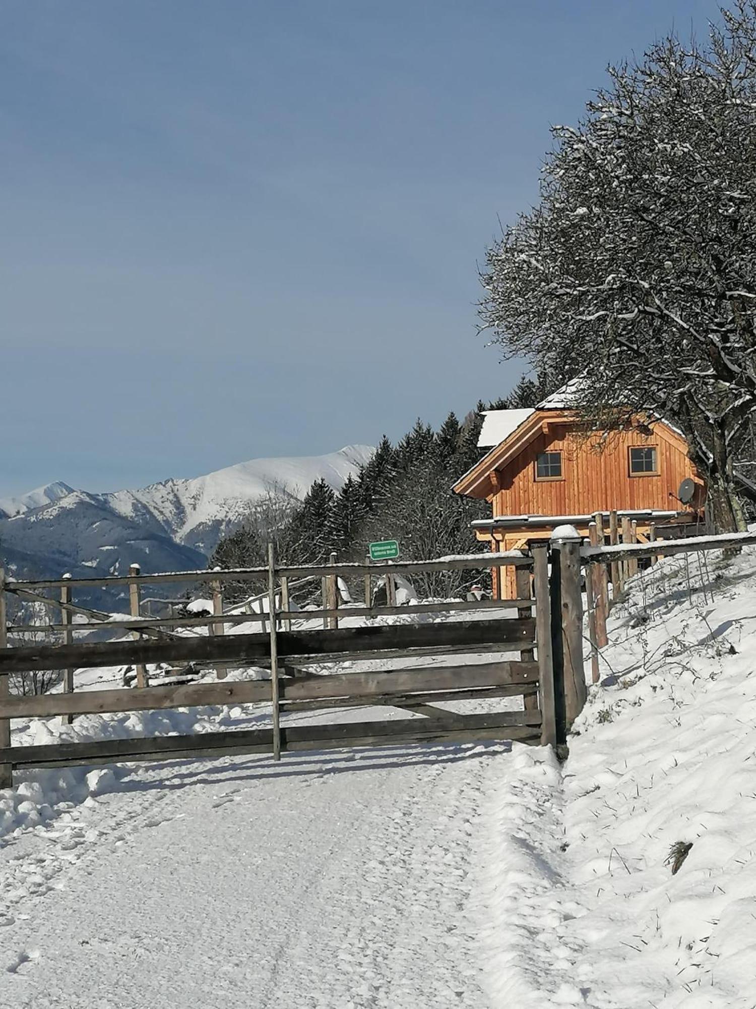 Willa Laerchenhaus ,,Unterer Brodl" Sankt Peter am Kammersberg Zewnętrze zdjęcie